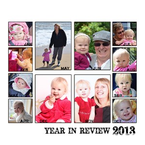 Year in review 2013