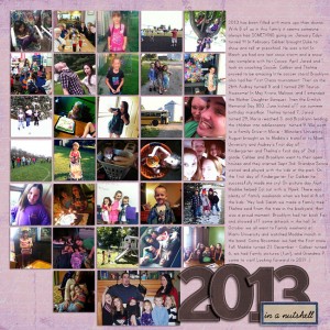 2013 in a Nutshell