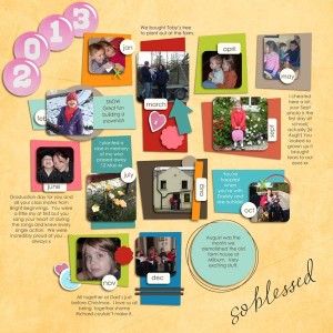 2013 review