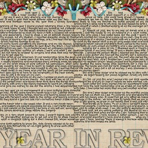 2013 In Review