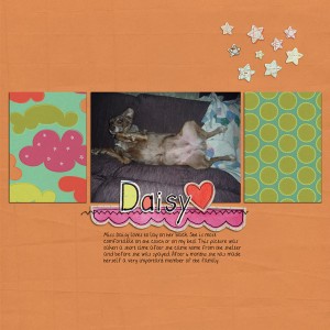 Daisy