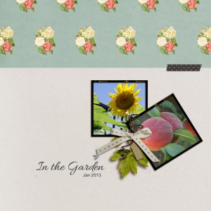 In the Garden