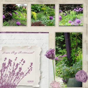 PS_-_TLP_19a