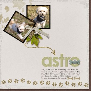 Astro_ MOC 20: Quick Page