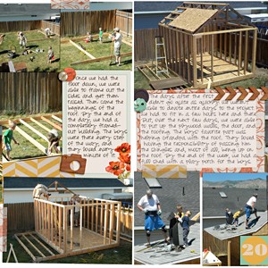 Shed Building