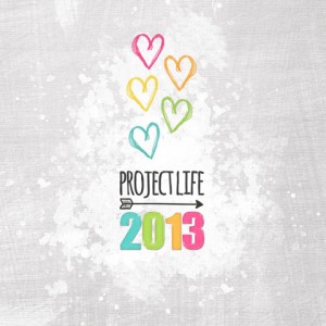2013 project life cover - front