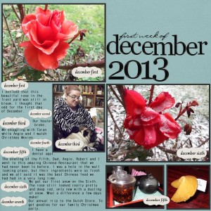 First week of December - MOC #21 - The Week