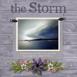 The Storm