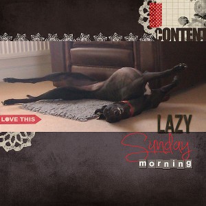 Lazy Sunday Morning