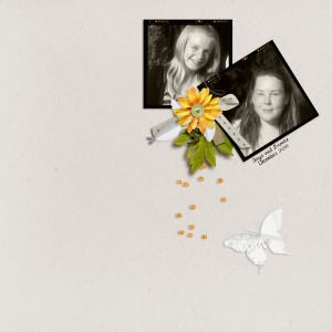 Day 20 Pimp this page challenge