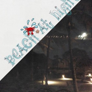 The Beach at Night