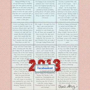 2013 Facebooked