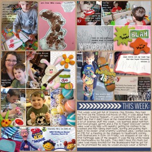 PL Week 13 - 2013- right