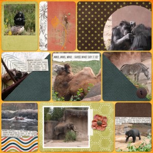 St. Louis Zoo