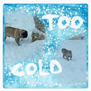 Too Cold