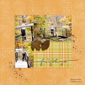 Fall Foliage