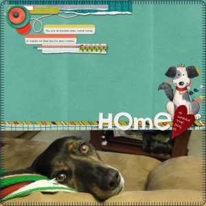 Home Is Where The Dog Is
