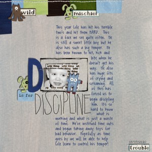 Discipline