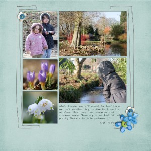spring flowers