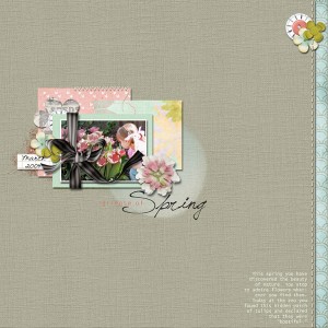 Glimpse of Spring