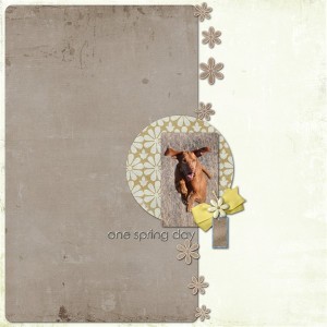 one spring day