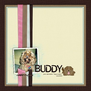 buddy