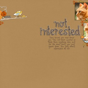 Not Interested