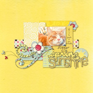 spring sunshine