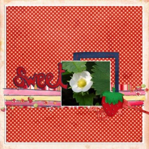 Strawberries