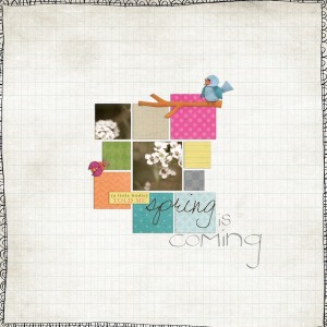 A little Birdie