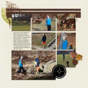 New years day walk