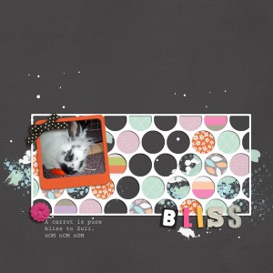 bliss5