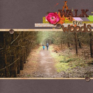 MOC 30 - A walk in the woods