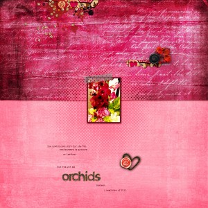 Orchid