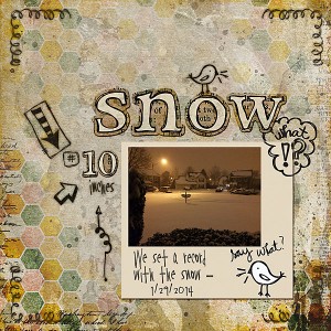 Snow What