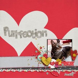 Purrfection
