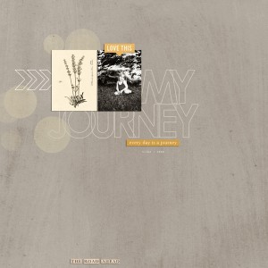 My Journey