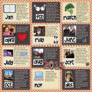 2013 in review