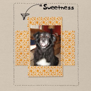 Sweetness