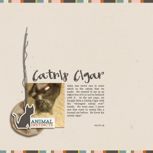 Catnip Cigar