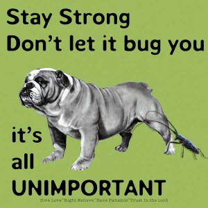 Don't Let It BUG You
