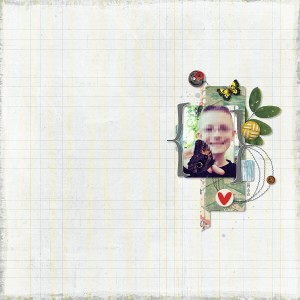 Butterfly