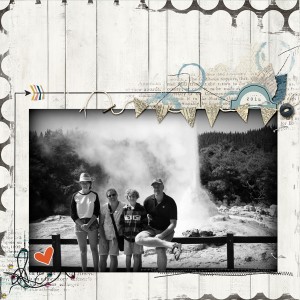 Random challenge - NZ Geyser