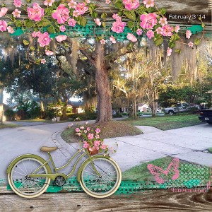 Our Street