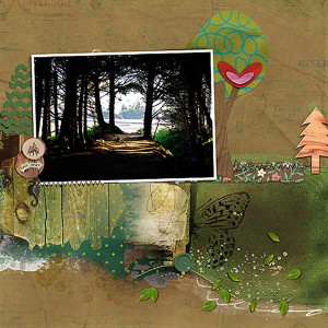 Beach Path