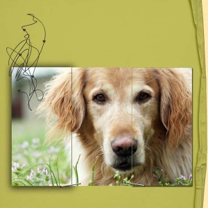 February_Challenge-_Random  No Journaling