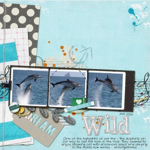 Speed Scrap - Wild dolphins