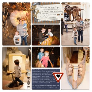 Field Museum right