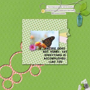 The Butterfly