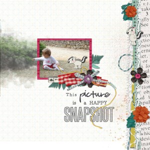 Snapshot